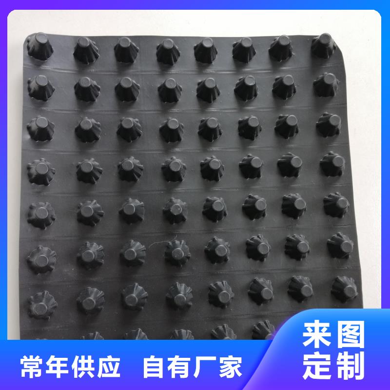 【蓄排水板】,三维土工网垫采购无忧-市场覆盖|隰县|蒲县|晋城|大同|晋中|长治|忻州-云商赢企