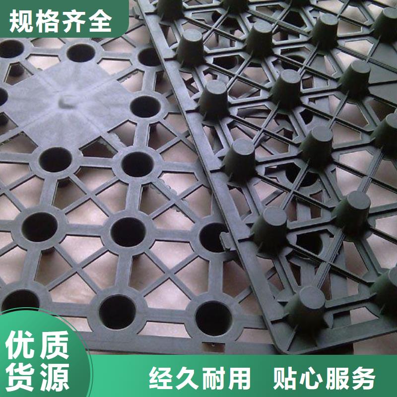 品牌蓄排水板 【土工格室】一手价格