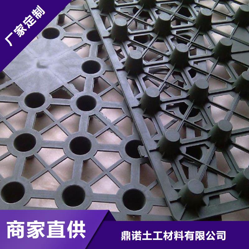 蓄排水板凸结点钢塑土工格栅源头厂家经验丰富