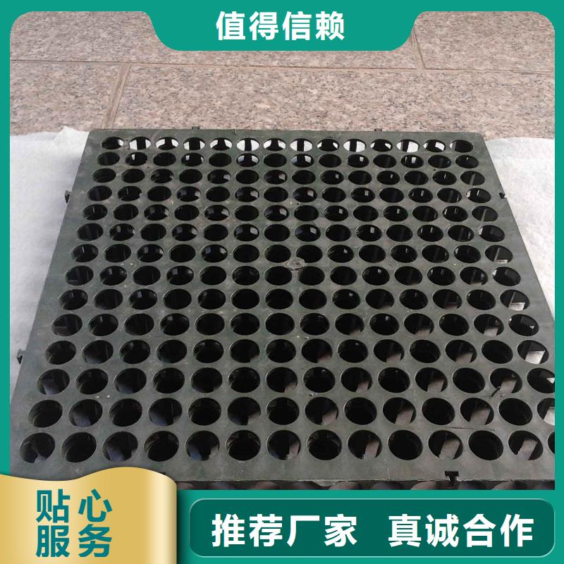 蓄排水板涤纶土工格栅一手价格