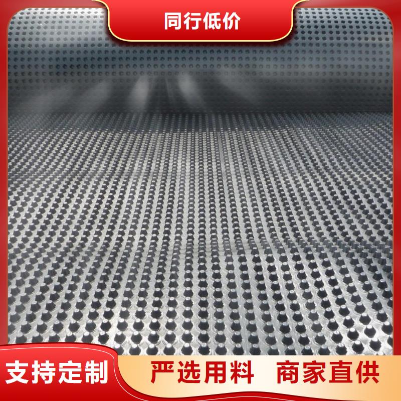 蓄排水板涤纶土工格栅一手价格