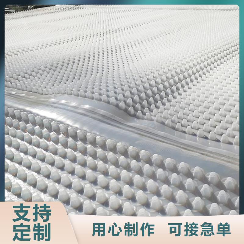 【蓄排水板】,膨润土防水垫性价比高
