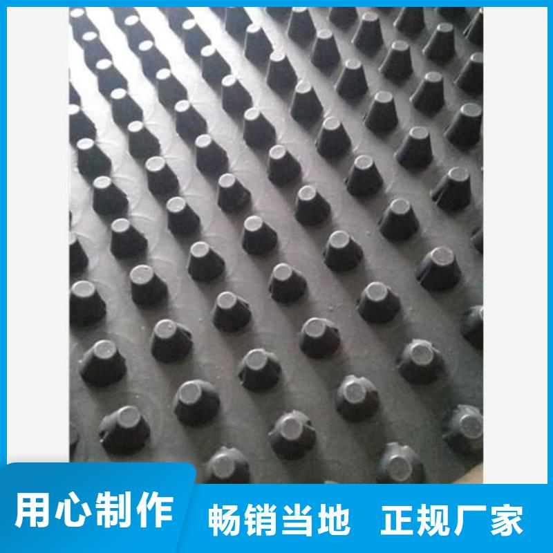 【蓄排水板】_长丝土工布源厂直接供货-鼎诺土工材料(上饶市分公司)