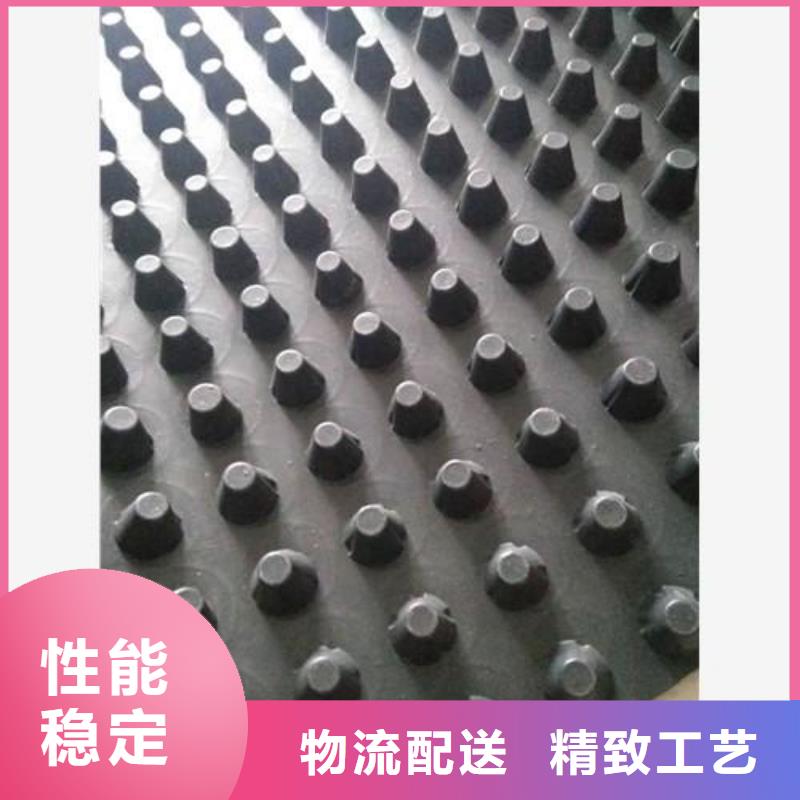 蓄排水板凸结点钢塑土工格栅源头厂家经验丰富