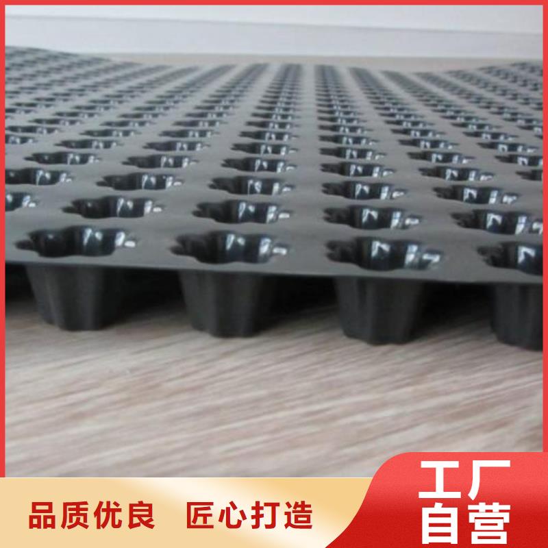 蓄排水板土工格室好品质售后无忧