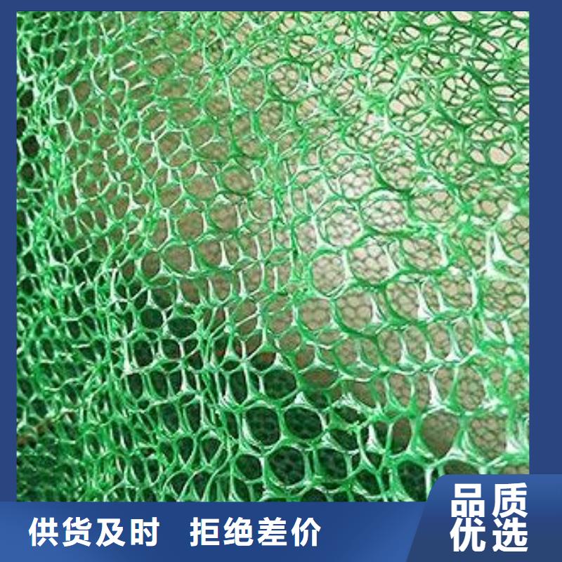 三维植被网钢塑土工格栅产品细节参数