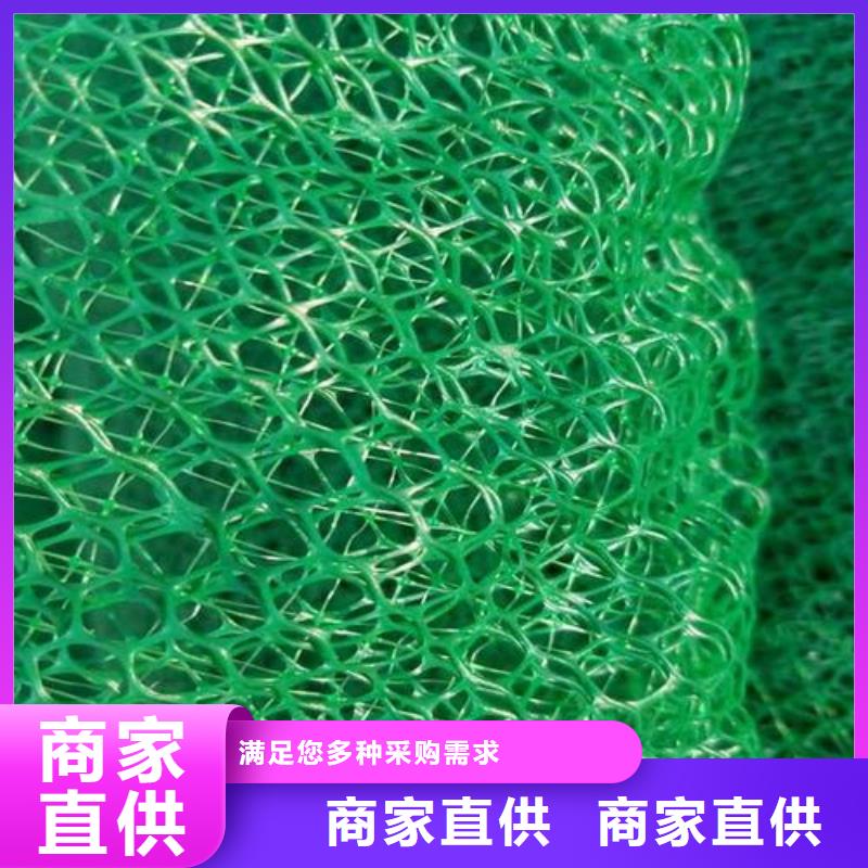 【 三维植被网,三维复合排水网源头厂家量大价优】鼎诺土工布