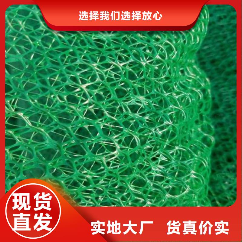 【三维植被网】_玻纤格栅优选厂商 鼎诺土工材料(秦皇岛市分公司)