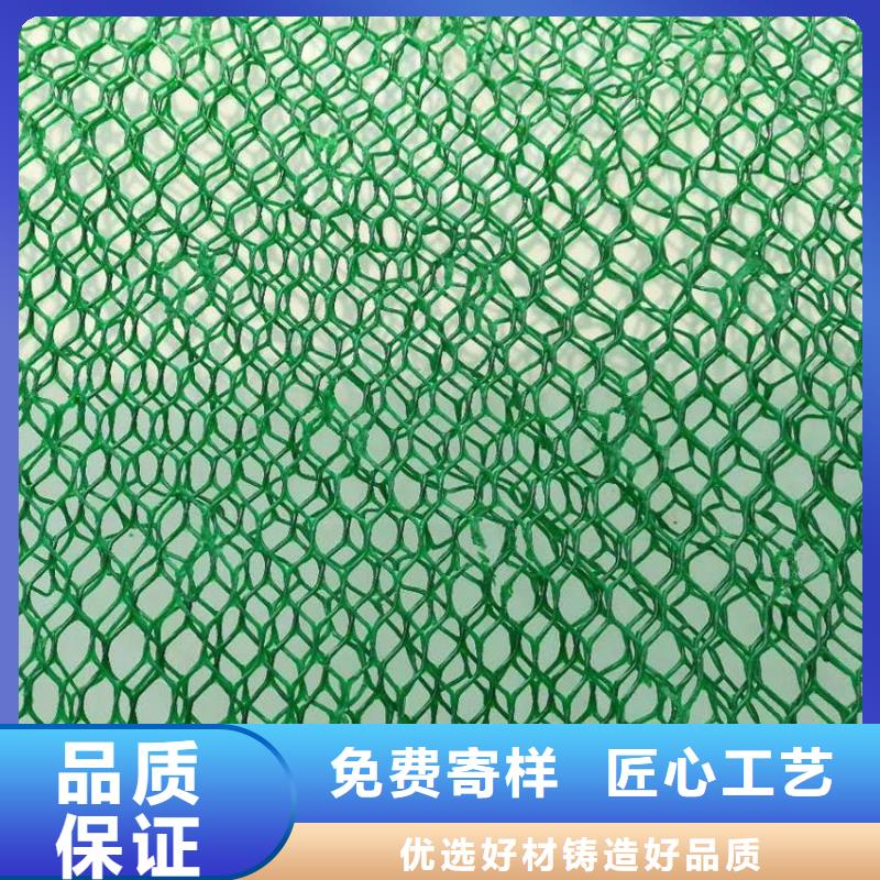 三维植被网-玻纤土工格栅来图来样定制