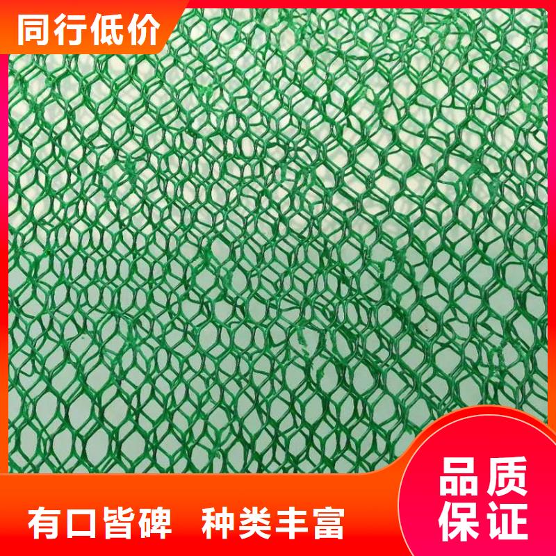 三维植被网钢塑土工格栅产品细节参数