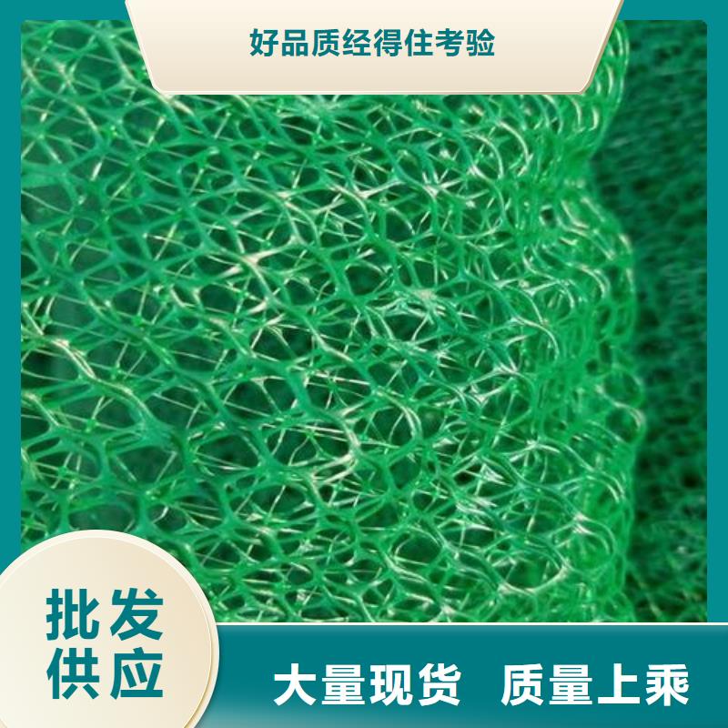 三维植被网,土工格室贴心服务