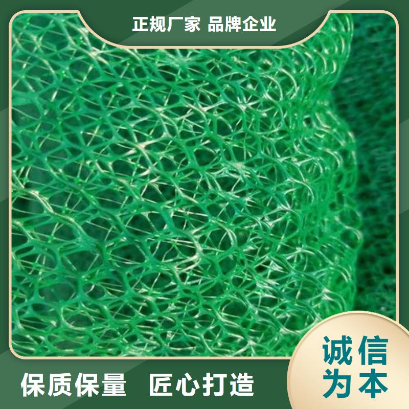 三维植被网土工席垫对质量负责