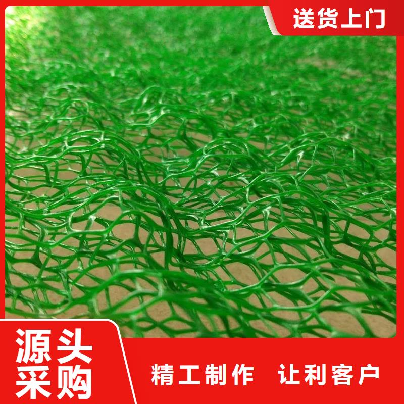 【三维植被网】_玻纤格栅优选厂商 鼎诺土工材料(秦皇岛市分公司)