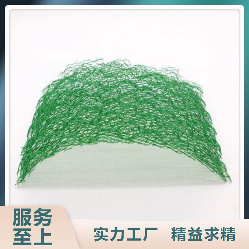 三维植被网,膨润土防水垫厂家直销规格多样