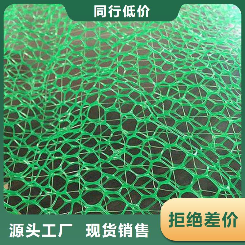 三维植被网单向拉伸塑料格栅精致工艺