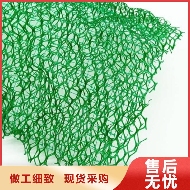 三维植被网单向拉伸塑料格栅精致工艺
