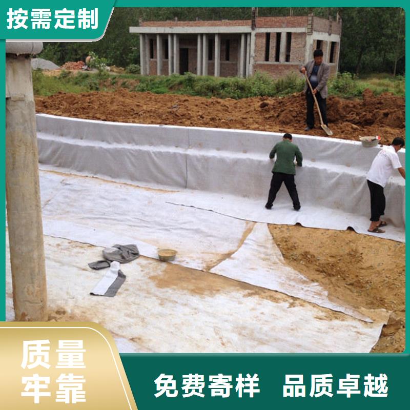 【膨润土防水毯】-三维植被网自有生产工厂鼎诺土工布