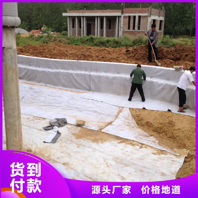 膨润土防水毯-复合土工膜放心选购