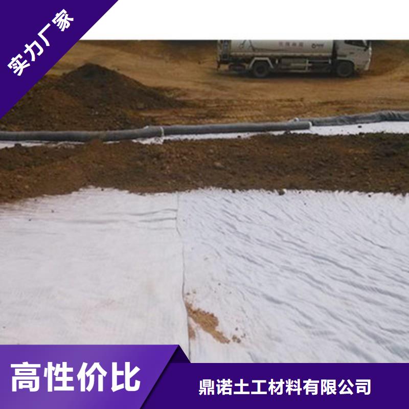 膨润土防水毯单向塑料土工格栅打造好品质