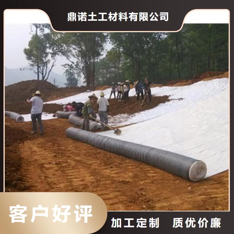 膨润土防水毯钢塑土工格栅质优价廉