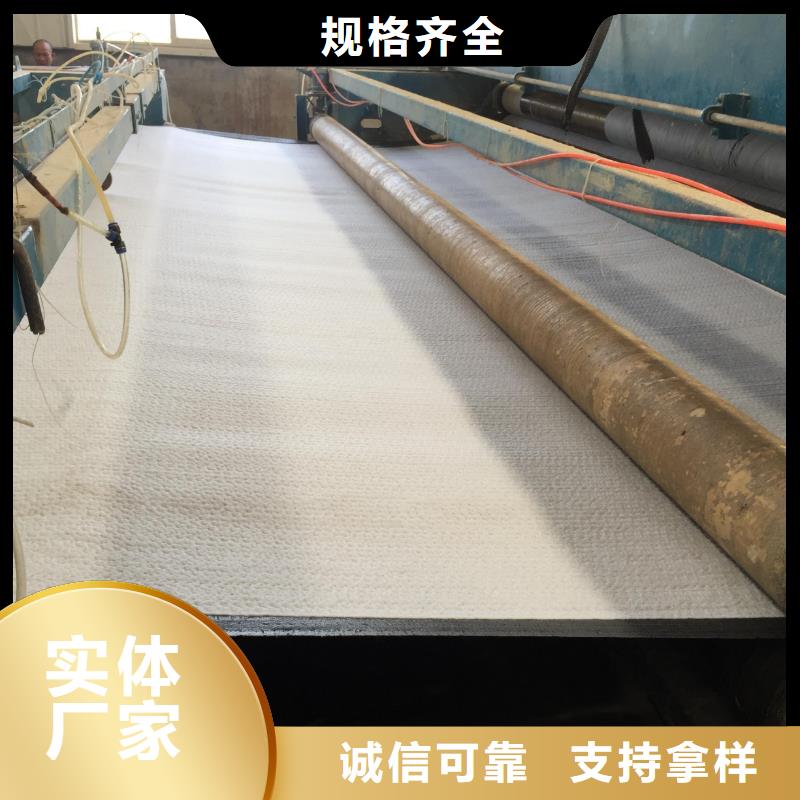 膨润土防水毯-钢塑土工格栅精心