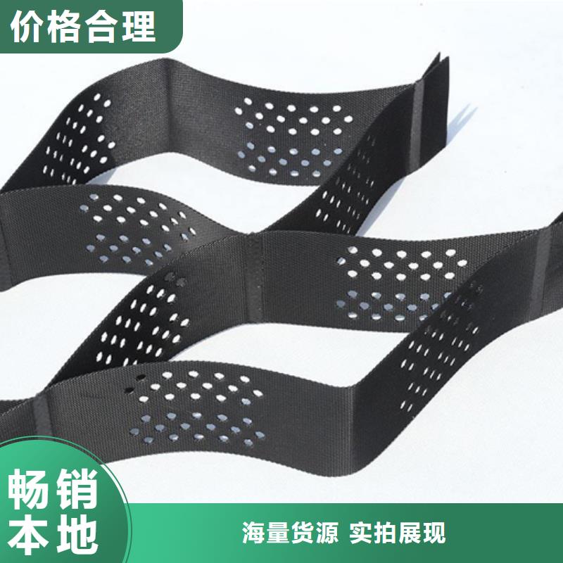 土工格室三维复合排水网经验丰富品质可靠
