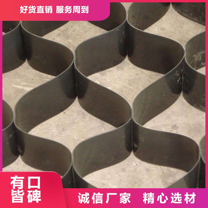 土工格室三维复合排水网经验丰富品质可靠