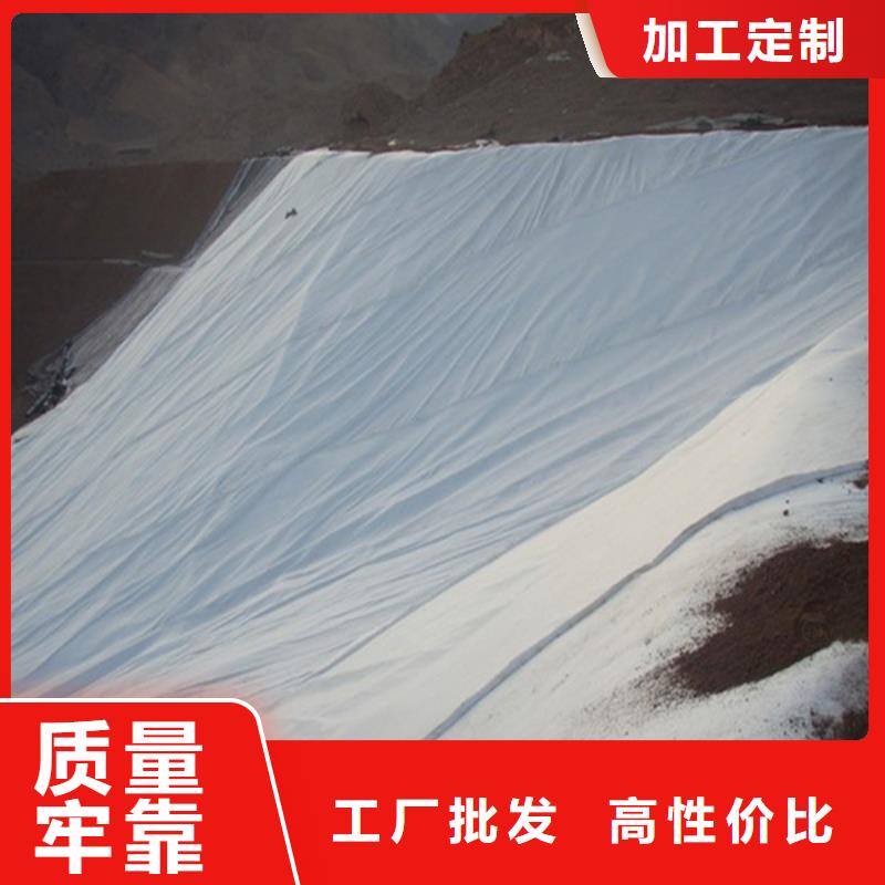 土工布玻璃纤维土工格栅自营品质有保障