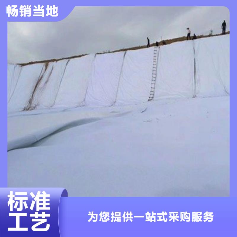 土工布护坡土工网厂家采购