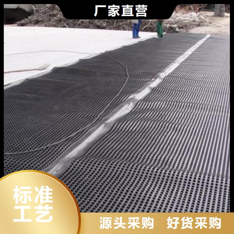 塑料排水板三维植被网厂家源厂供货