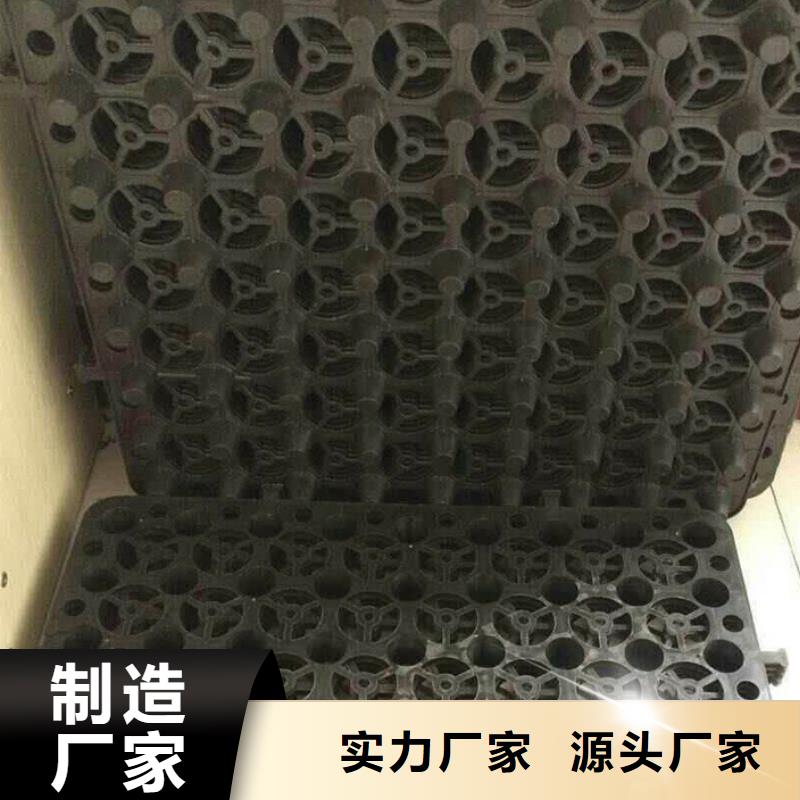 塑料排水板三维植被网厂家源厂供货
