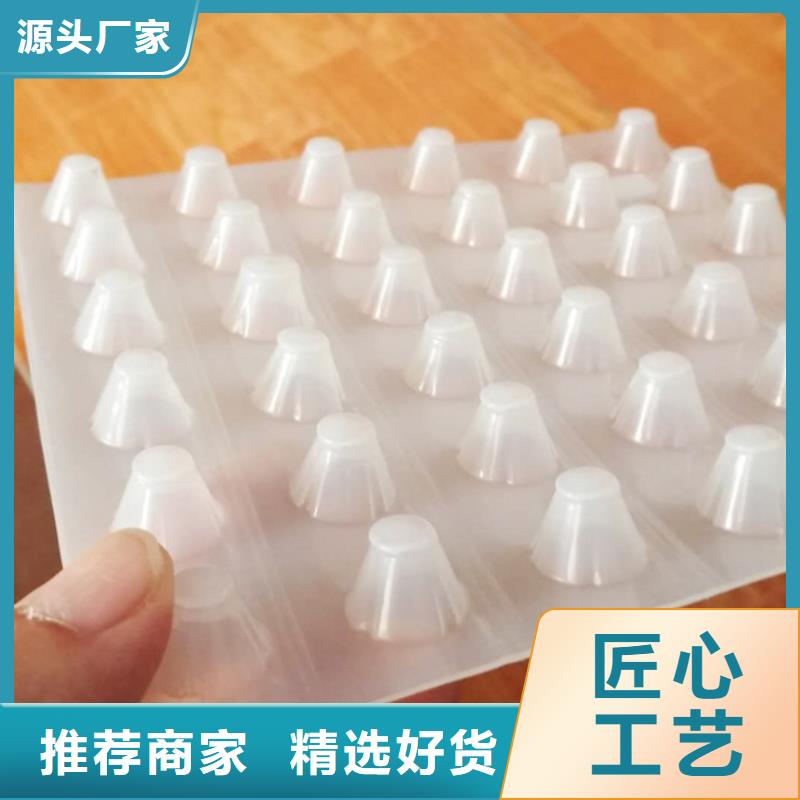 【塑料排水板】-三维植被网厂家专注细节专注品质 亿路通新材料(辽源市分公司)