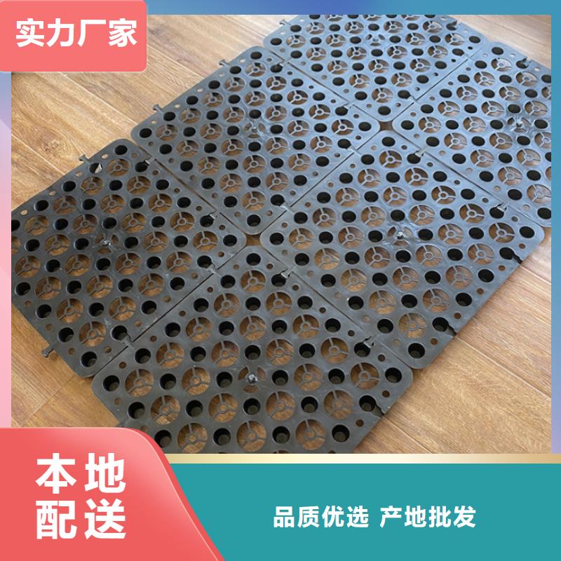 塑料排水板软式透水管工艺成熟