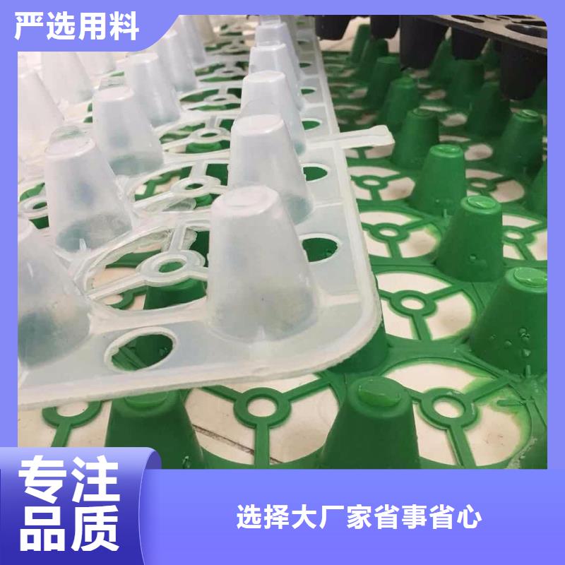 塑料排水板土工布批发源头厂家经验丰富