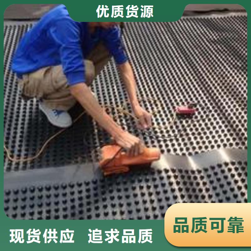塑料排水板,玻纤土工格栅免费寄样