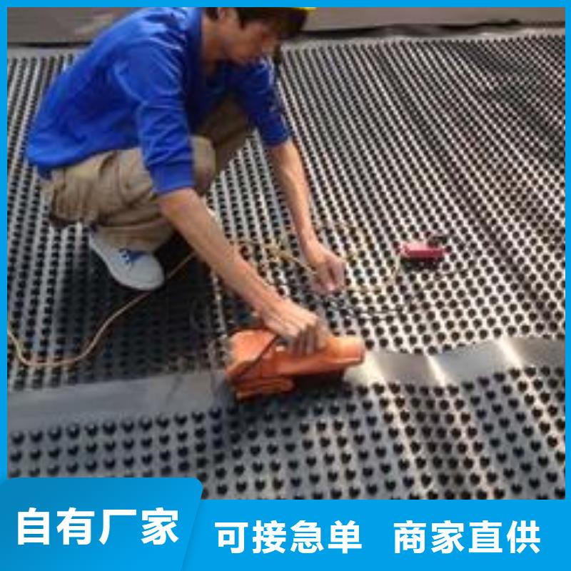 塑料排水板玻纤土工格栅选择大厂家省事省心