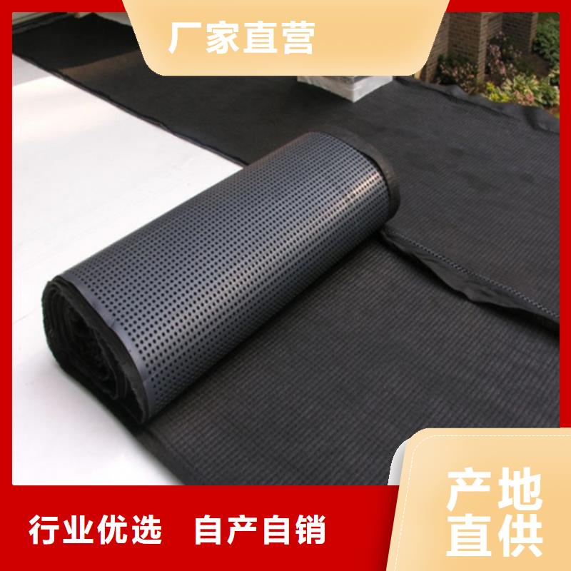 【塑料排水板】-三维植被网厂家专注细节专注品质 亿路通新材料(辽源市分公司)