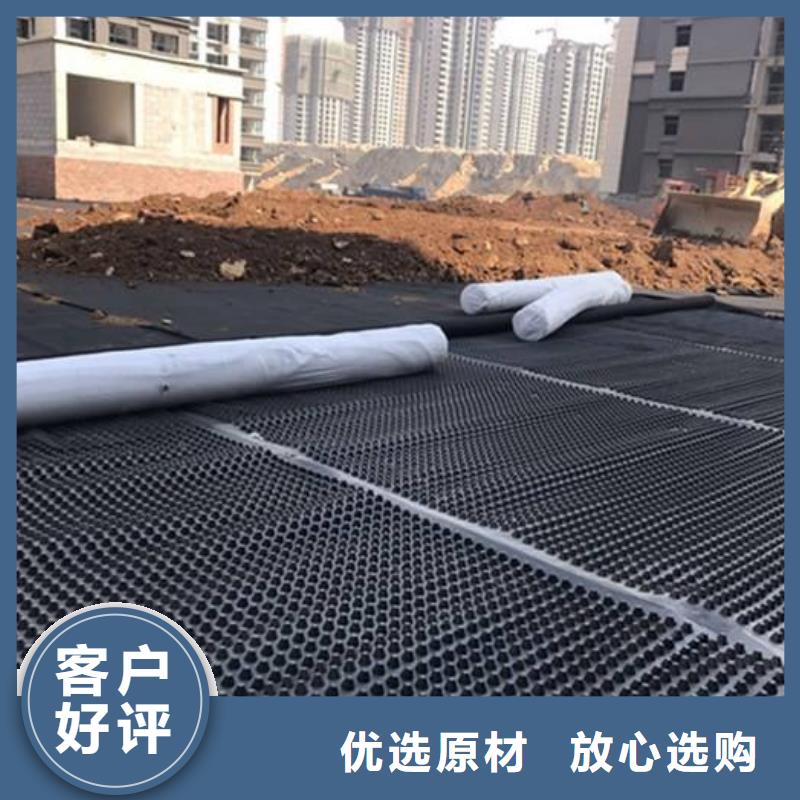 塑料排水板玻纤土工格栅源厂直销