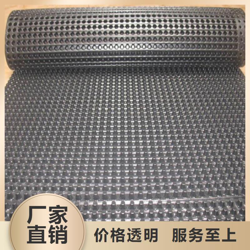 【塑料排水板】三维水土保护毯匠心制造