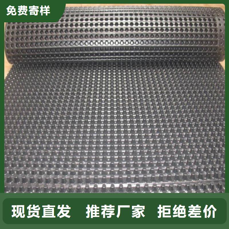 塑料排水板,土工膜专业生产N年