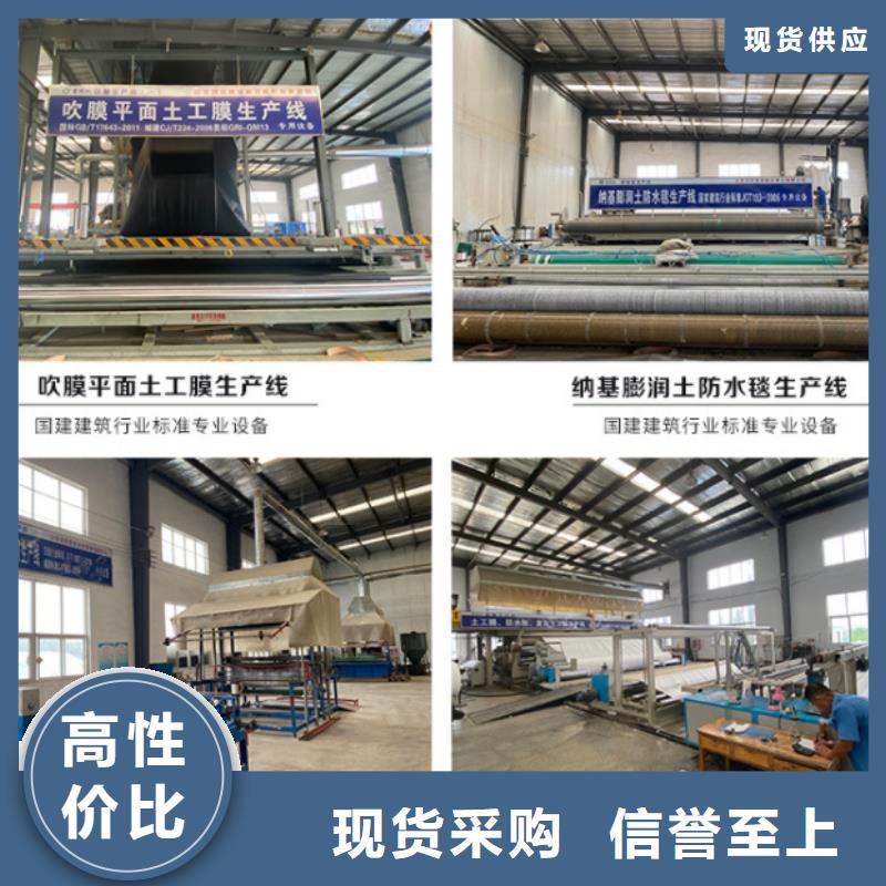 防水毯_【三维水土保护毯】品质无所畏惧本地生产厂家