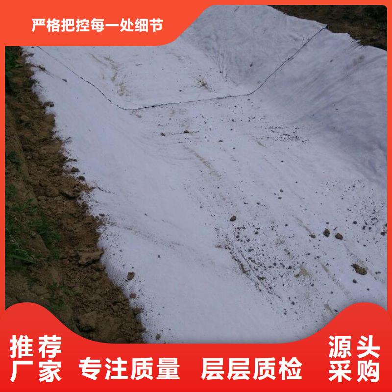 防水毯_钢塑土工格栅应用广泛