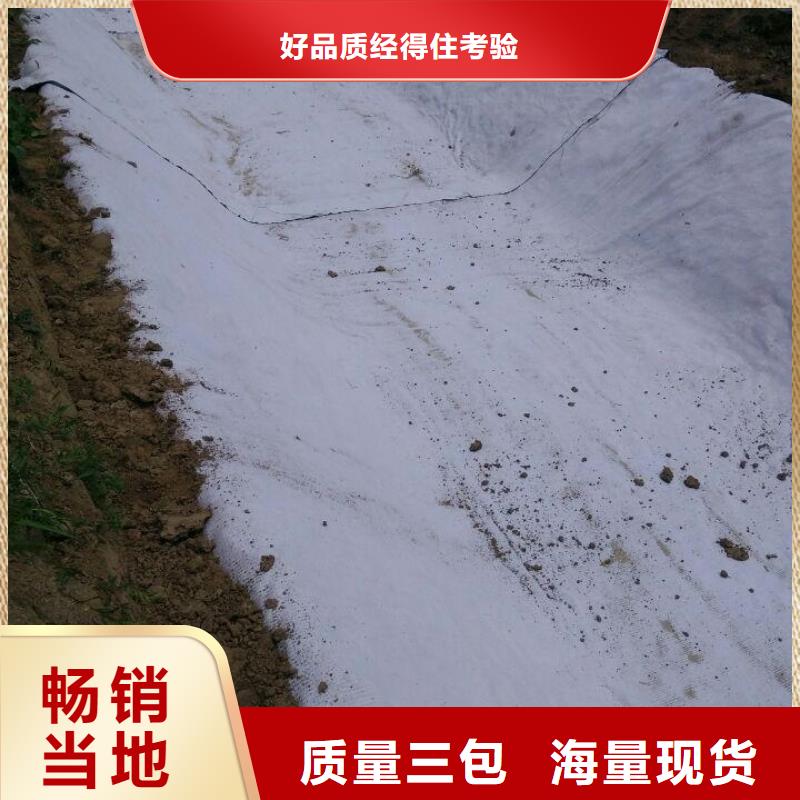 防水毯_【三维水土保护毯】品质无所畏惧本地生产厂家
