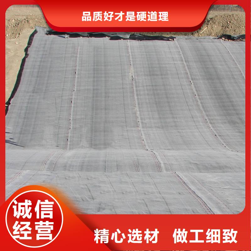 防水毯钢塑土工格栅一致好评产品