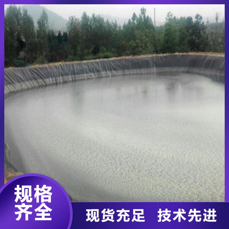 土工膜,单向塑料土工格栅好厂家有担当