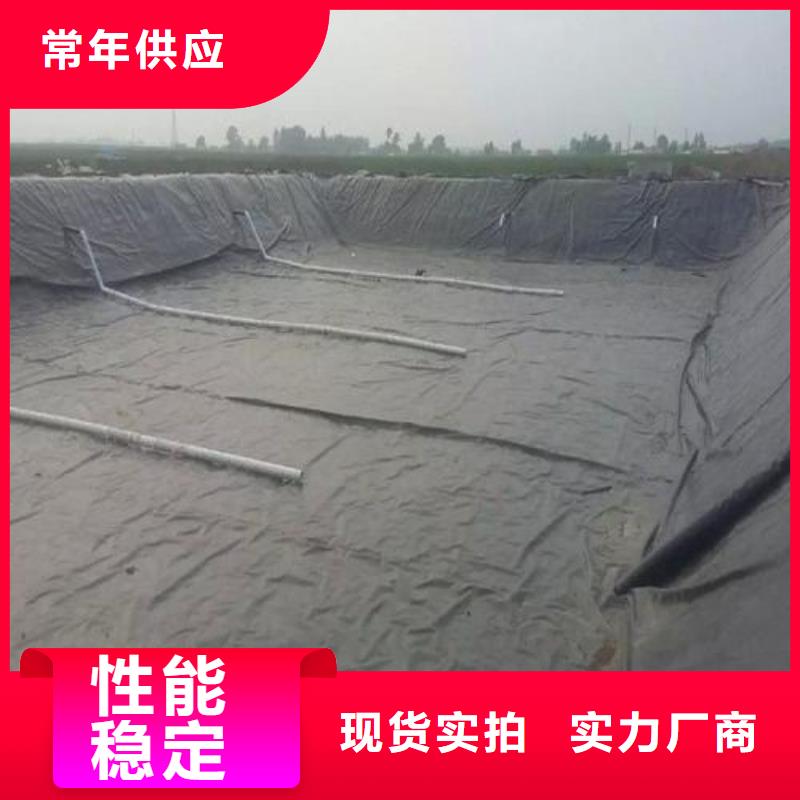 土工膜_玻纤土工格栅厂家十分靠谱