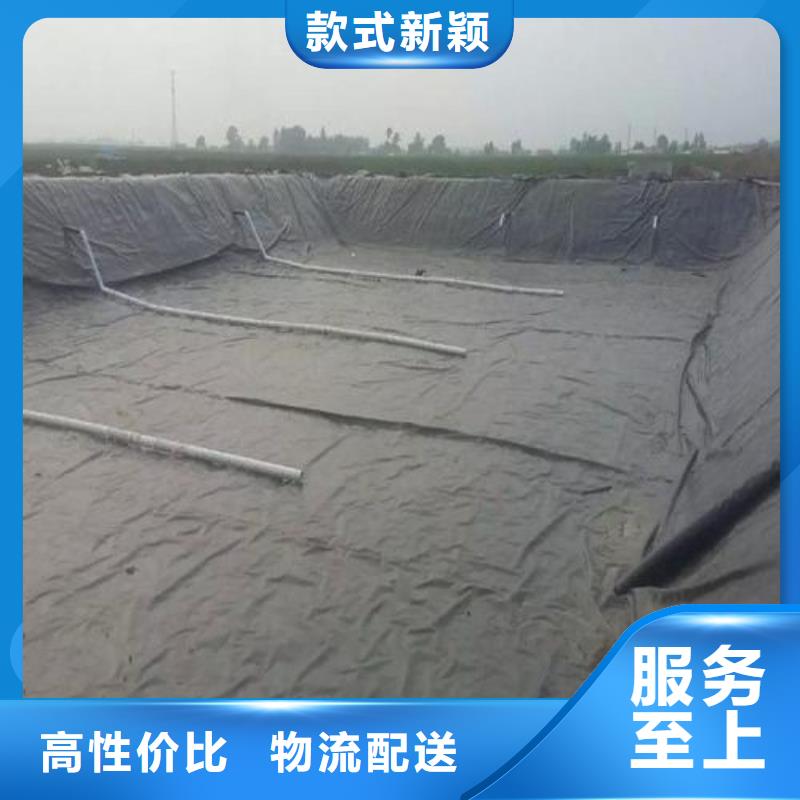 土工膜玻璃纤维土工格栅设计制造销售服务一体