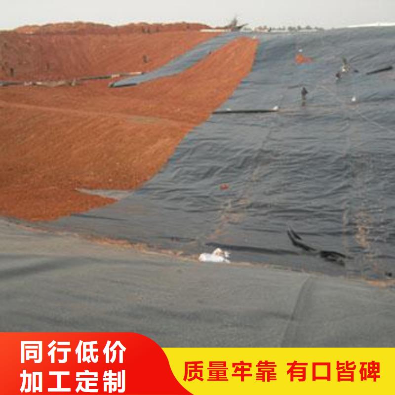土工膜双向塑料土工格栅专业的生产厂家