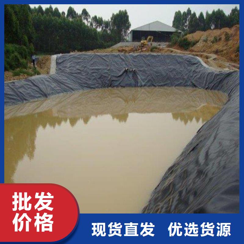 土工膜多向塑料土工格栅性价比高