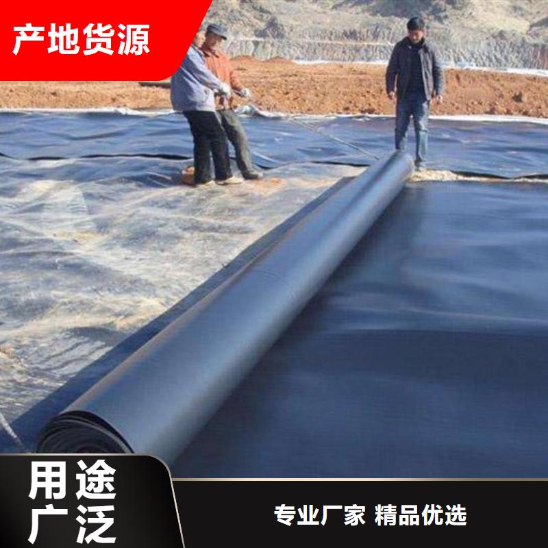 土工膜多向塑料土工格栅现货充足